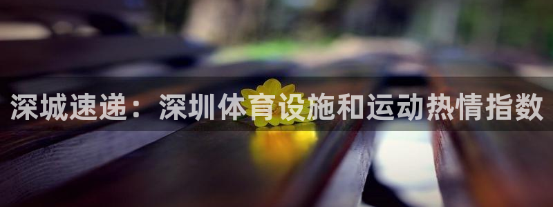 意昂3登陆：深城速递：深圳体育设施和运动热情指数
